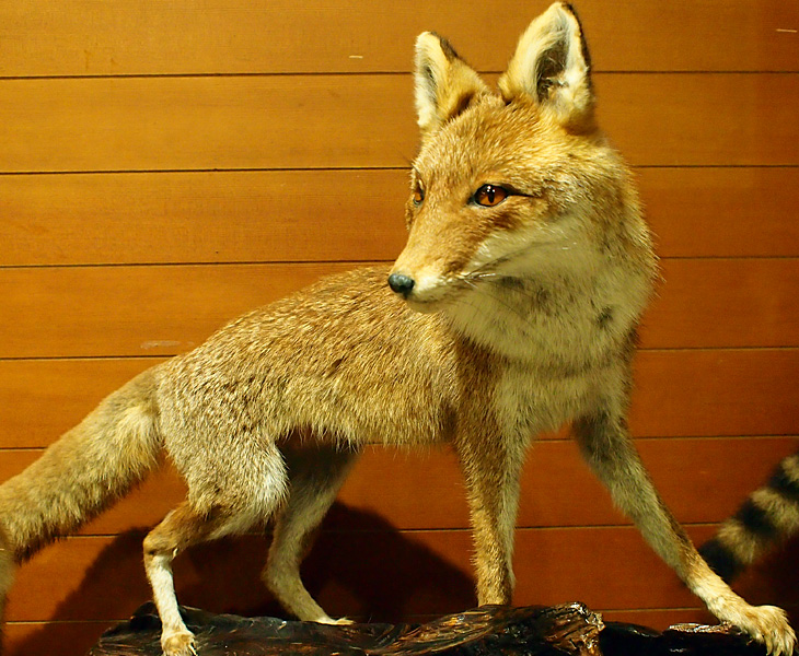 ああああああああああああ