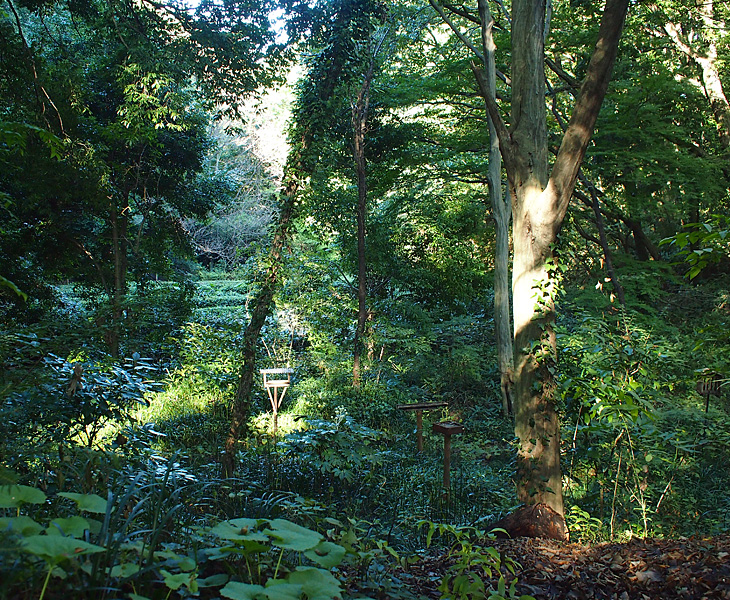 ああああああああああああ