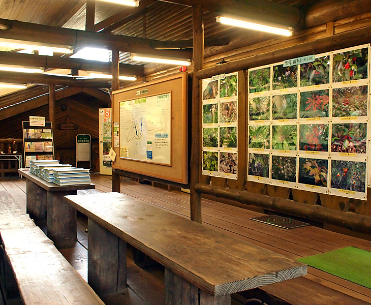 さいたま緑の森博物館
