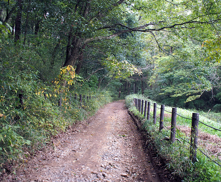 さいたま緑の森博物館