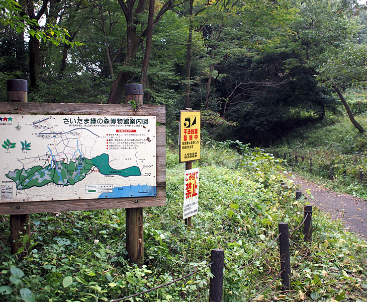 さいたま緑の森博物館