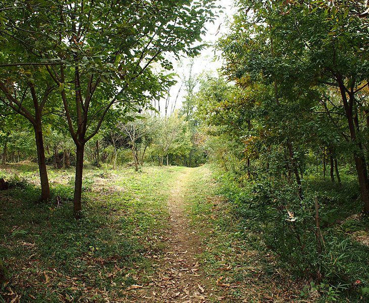 さいたま緑の森博物館