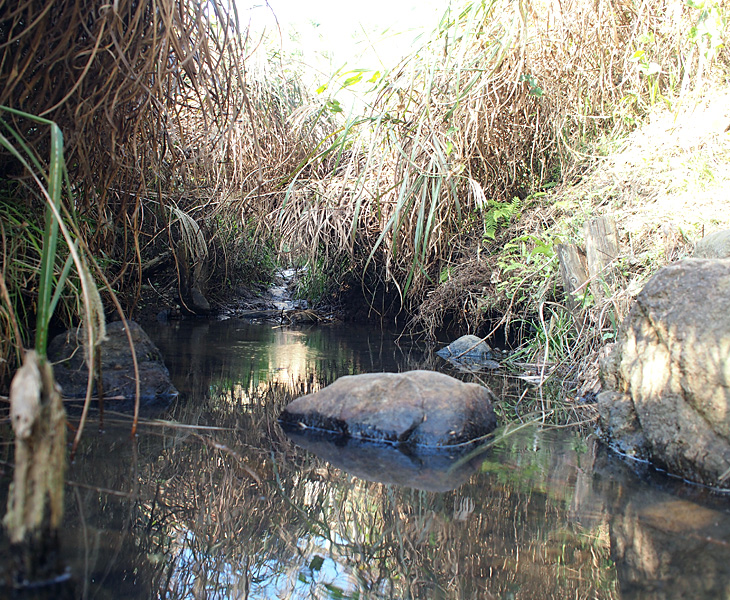 都立野山北・六道山公園 里山民家