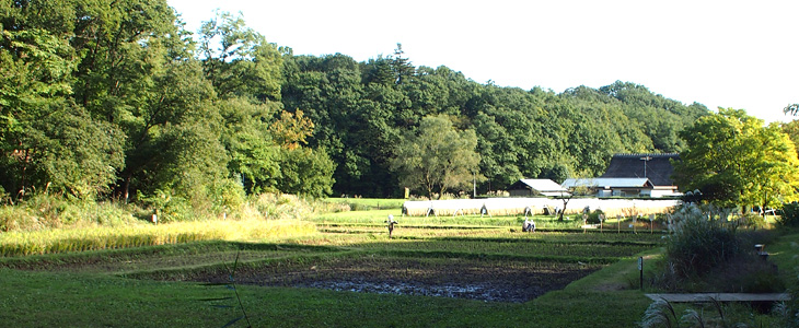 都立野山北・六道山公園 里山民家