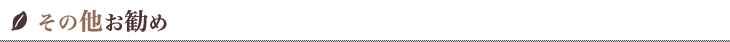 その他お勧め