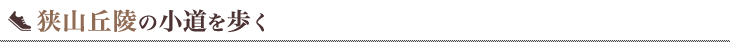 狭山丘陵の小道を歩く