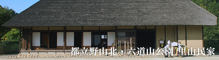 武蔵村山里山民家