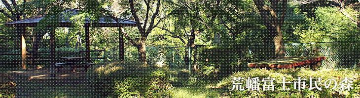 荒幡富士市民の森