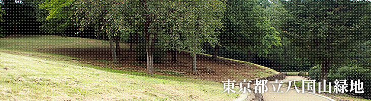 東京都立八国山緑地