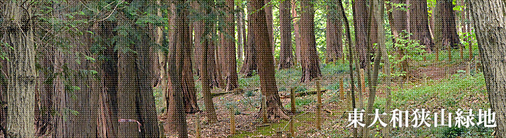 東大和狭山緑地