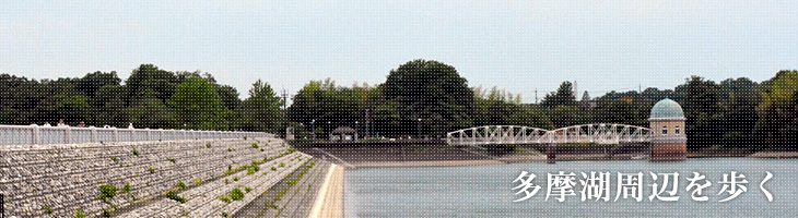 多摩湖周辺を歩く