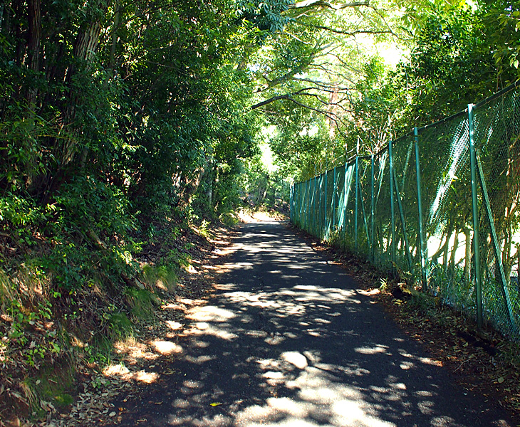 下山口駅→荒幡富士市民の森