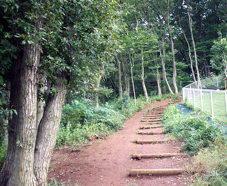 八国山緑地 蝶の森付近
