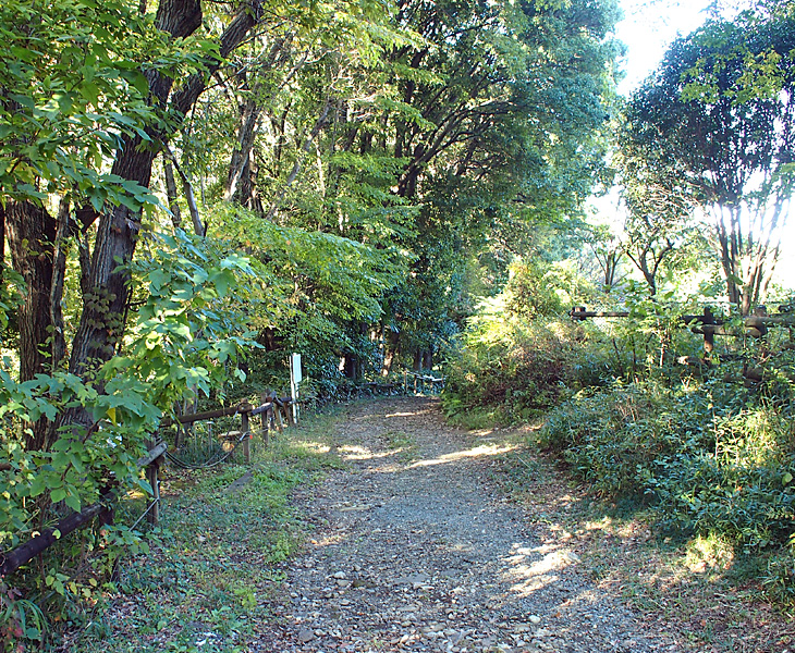 荒幡富士市民の森
