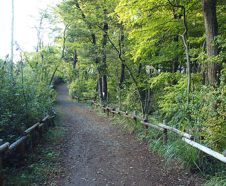 荒幡富士市民の森