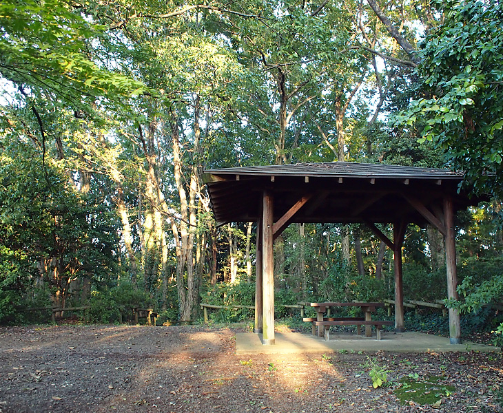荒幡富士市民の森、西広場