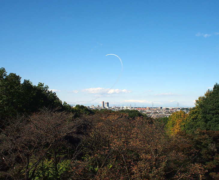 荒幡富士市民の森、荒幡富士頂上