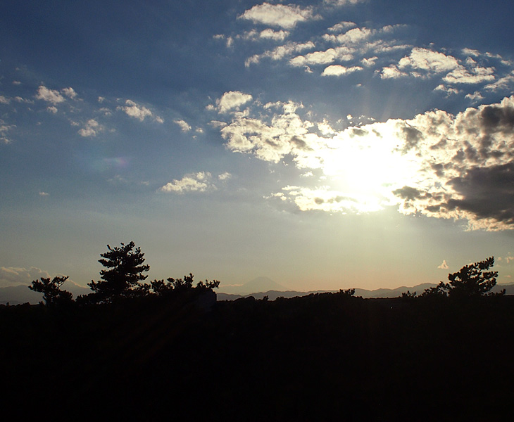荒幡富士市民の森、荒幡富士頂上