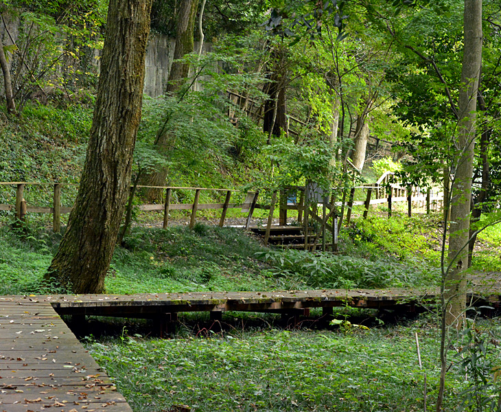 東大和狭山緑地