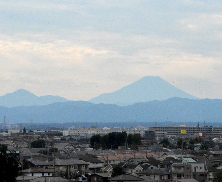 東大和狭山緑地休憩場所からの富士山