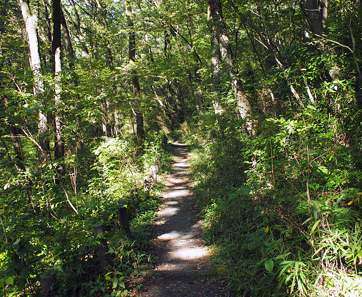 野山北公園西側