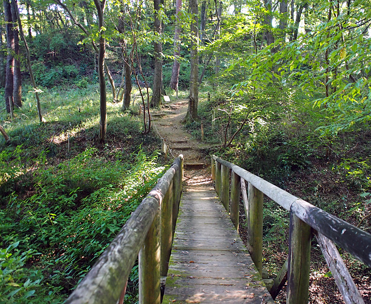 野山北公園西側