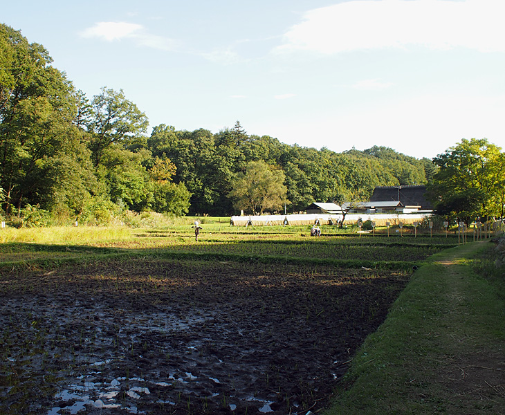 都立野山北・六道山公園 岸田んぼ