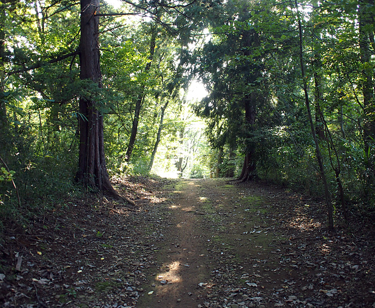 都立野山北・六道山公園 尾引山遊歩道