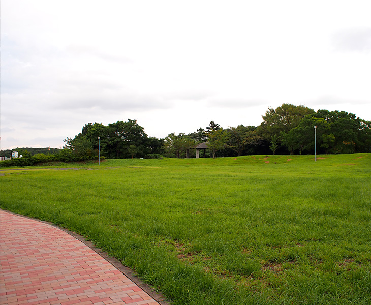 県立狭山自然公園右岸あたり