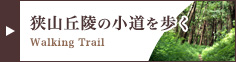 狭山丘陵の小道を歩く