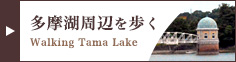 多摩湖周辺を歩く