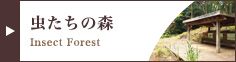 虫たちの森