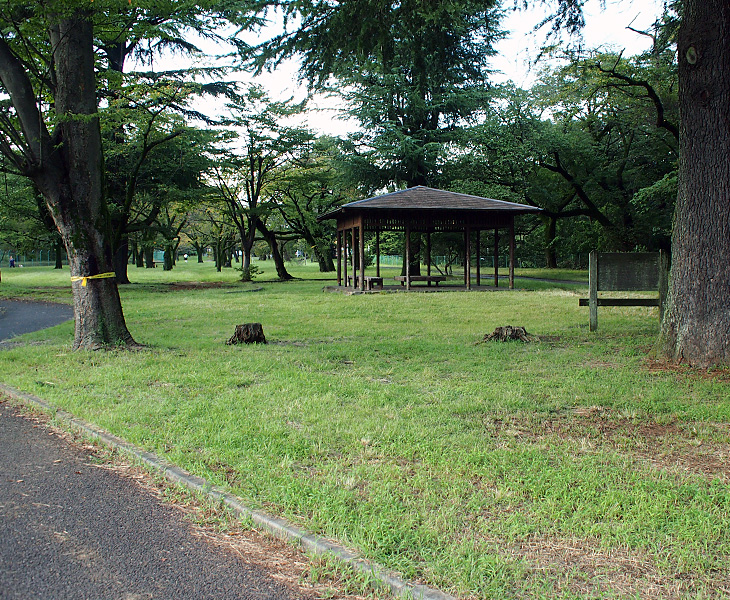 狭山湖堤防北の広場