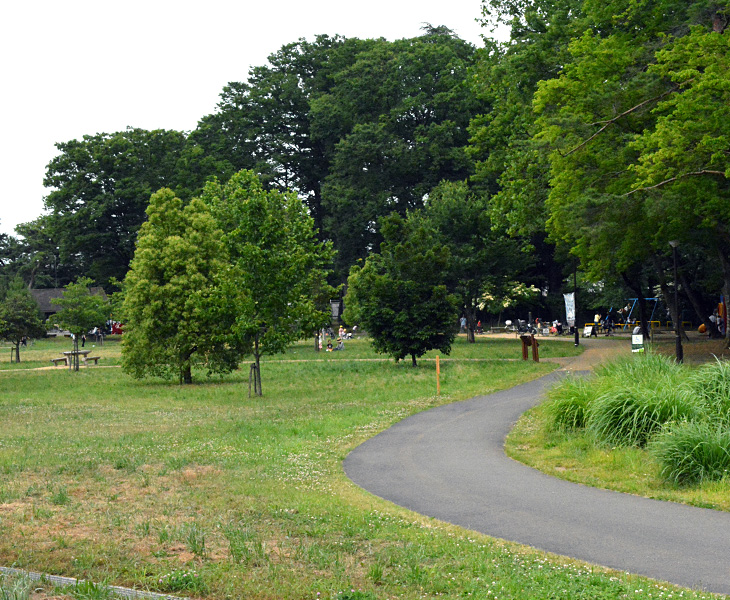 都立狭山公園