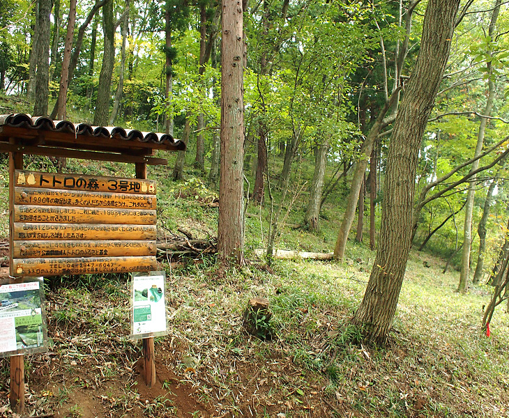 トトロの森3号地