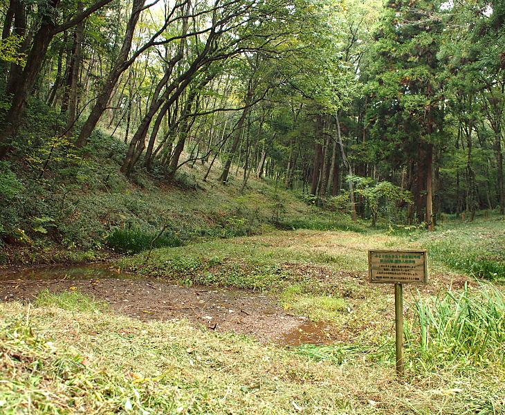 緑のトラスト 保全第二号地 狭山丘陵・雑魚入樹林地