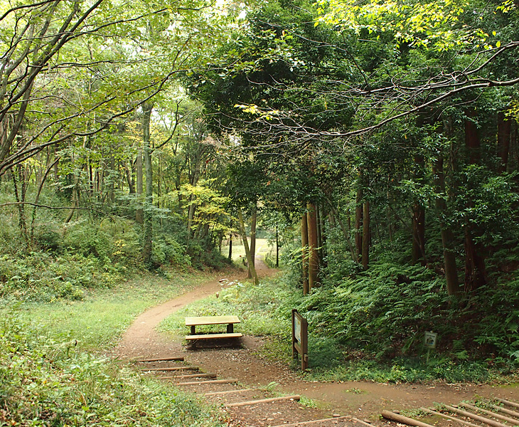 緑のトラスト 保全第二号地 狭山丘陵・雑魚入樹林地