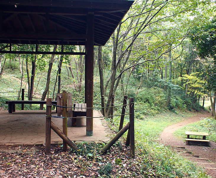 緑のトラスト 保全第二号地 狭山丘陵・雑魚入樹林地