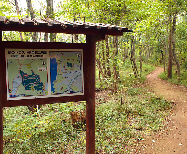 緑のトラスト 保全第二号地 狭山丘陵・雑魚入樹林地